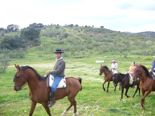 Los caballos le esperan
